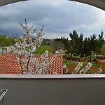 Ante 1306 3*